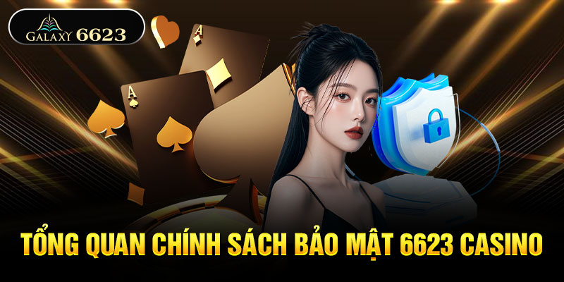 Tổng quan chính sách bảo mật 6623 casino