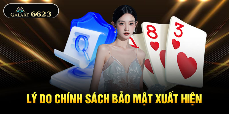 Lý do chính sách bảo mật xuất hiện