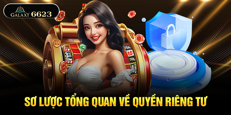 Sơ lược tổng quan về quyền riêng tư