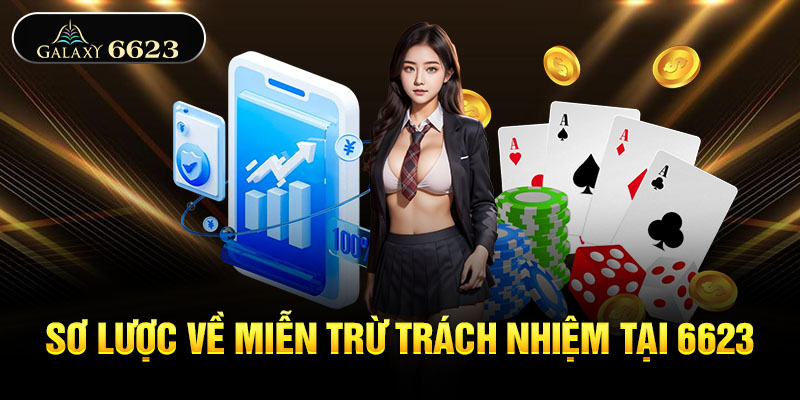 Sơ lược về miễn trừ trách nhiệm tại 6623