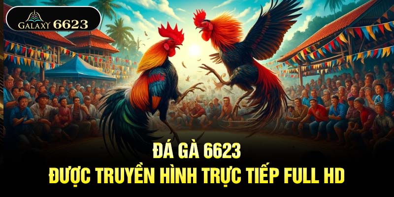 Đá gà 6623 được truyền hình trực tiếp full HD