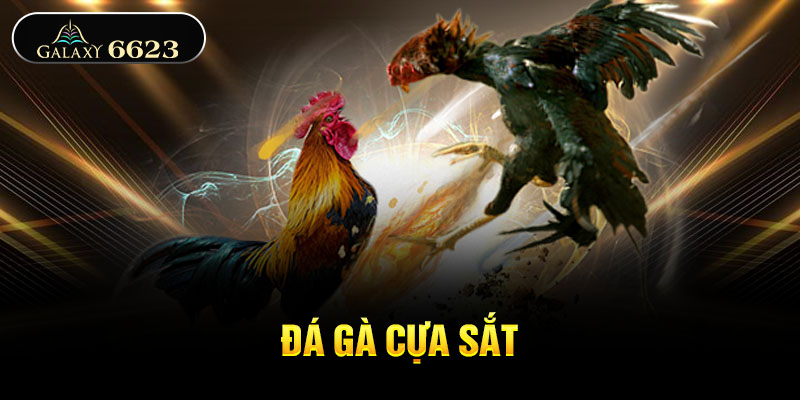 Đá gà cựa sắt