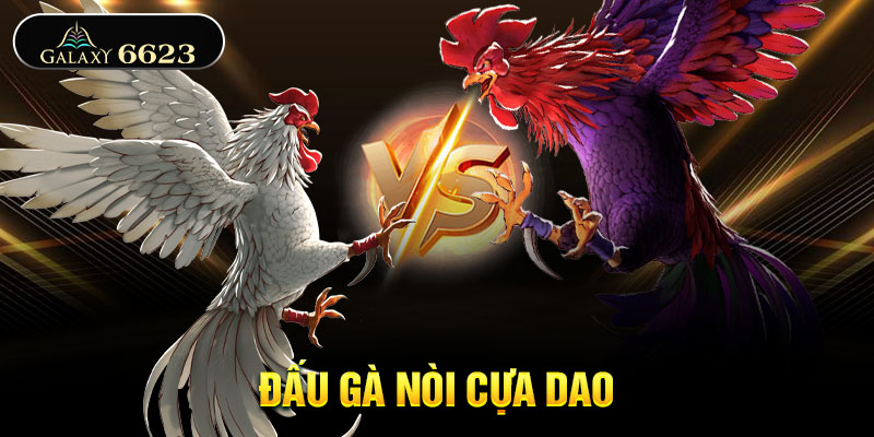 Đấu gà nòi cựa dao