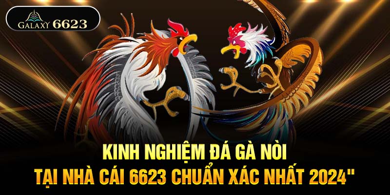 Kinh Nghiệm Đá Gà Nòi Tại Nhà Cái 6623 Chuẩn Xác Nhất 2024