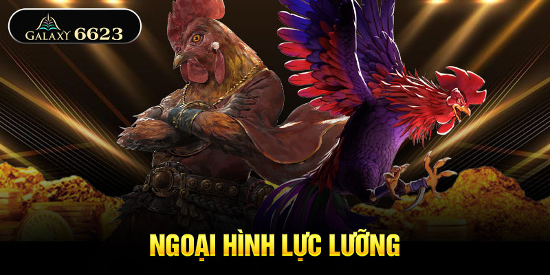 Ngoại hình lực lưỡng